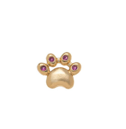 Cat Claw