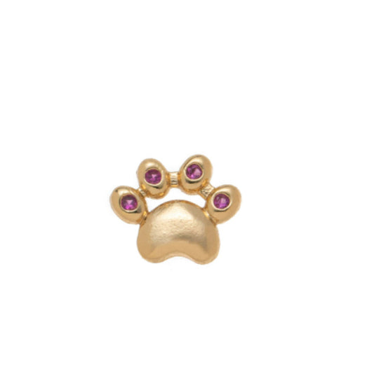 Cat Claw