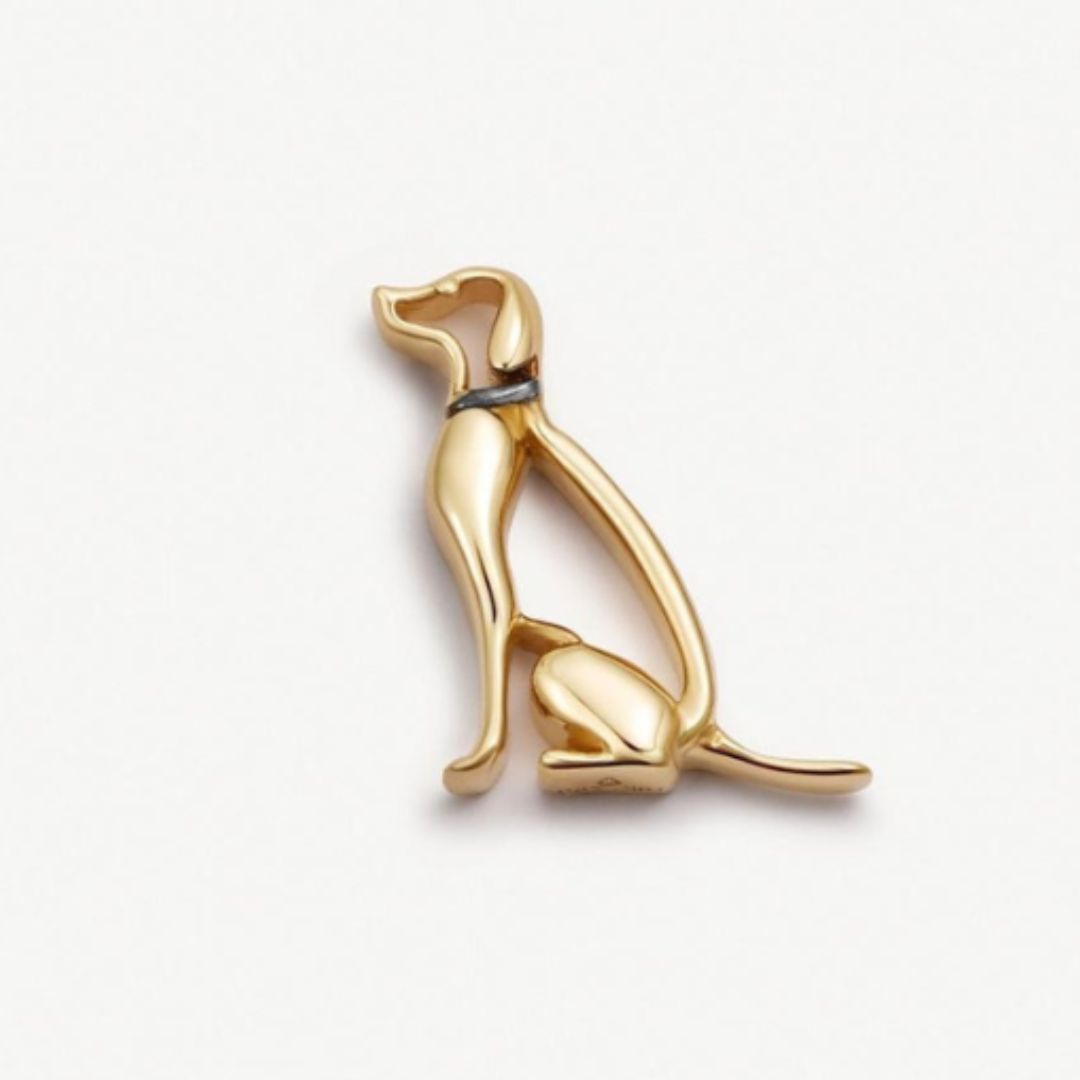perro