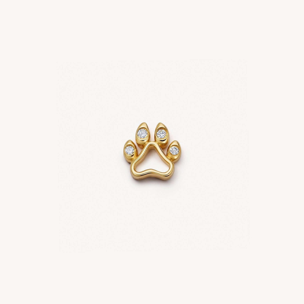 Pet Paw