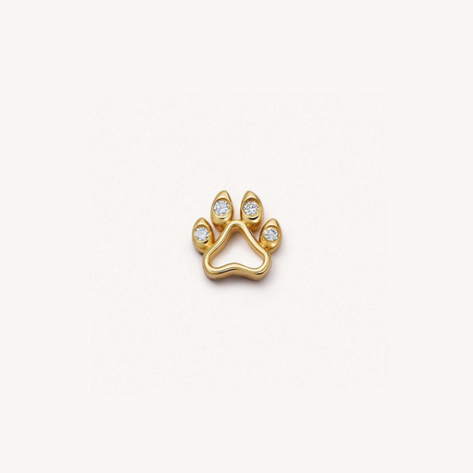 Pet Paw